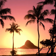 Colleges in Hawaii