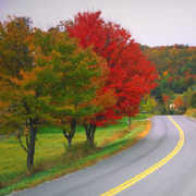 Colleges in Vermont