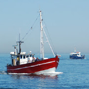 Marine Maintenance Colleges