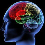 Neuropharmacology Colleges