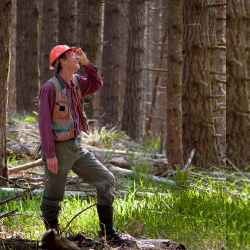 Foresters
