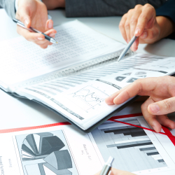 Market Research Analysts