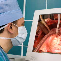 Cardiovascular Technologists and Technicians